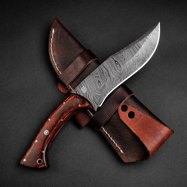 New Arrivals 2026