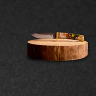 192 Vanguard - 2026 We Are Knifemakers, Eric Tapec | New 2026 Knives - BladeWolf A2Z image 4