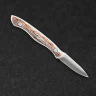 934 Small Paring Knife | Chef Kitchen Knife - BladeWolf A2Z image 6