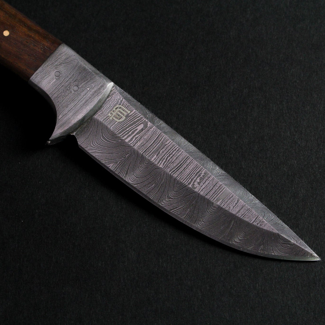 Bolognesi Hand-Forged Damascus Steel Hunting Knife - Rosewood