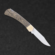 January 2025 Blade Wolf Of The Month - BladeWolf A2Z image 10