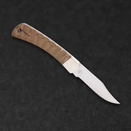 October 2025 Blade Wolf of the Month - BladeWolf A2Z image 5