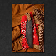 October 2025 Blade Wolf of the Month - BladeWolf A2Z image 10