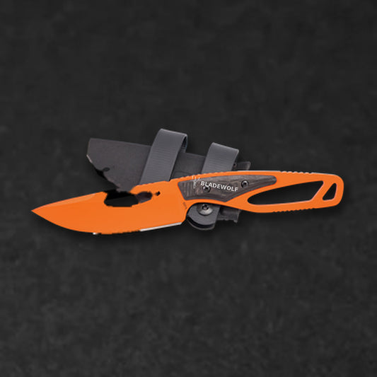 September 2025 Blade Wolf of the Month - BladeWolf A2Z image 3
