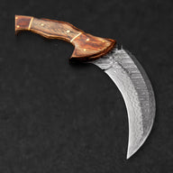 Tiger's Claw Hand-Forged Damascus Steel Karambit - Tali Wood - BladeWolf A2Z image 3